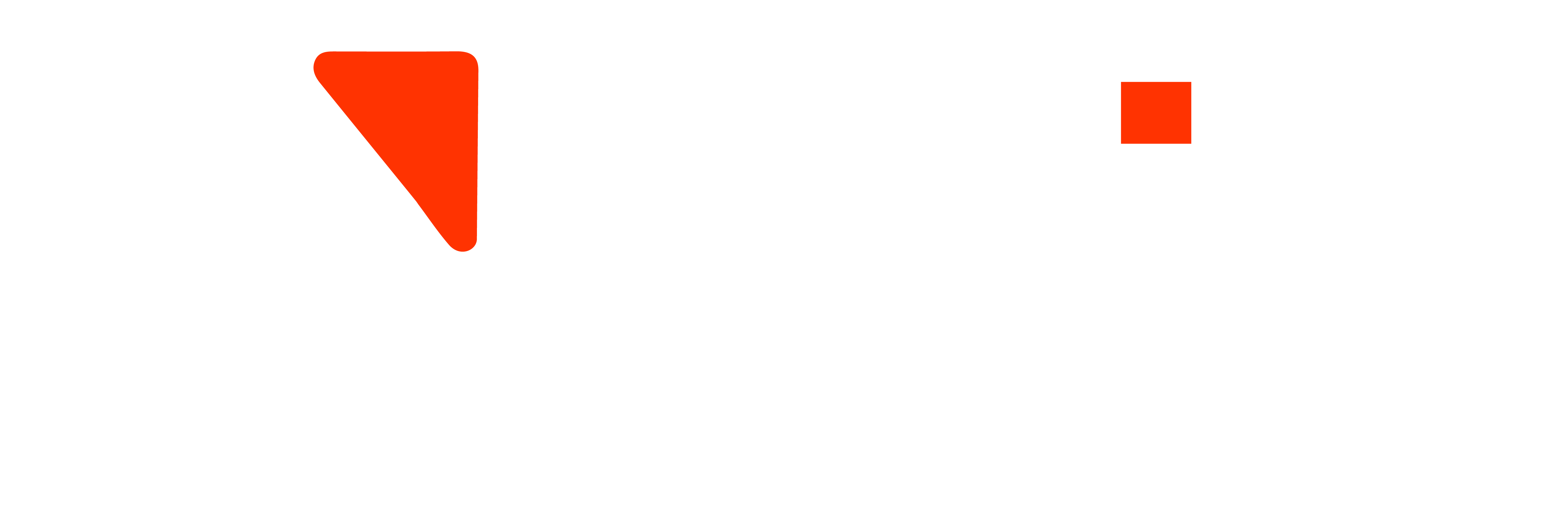 NZaib Logo